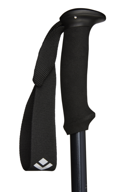 Black Diamond Explorer 2 bastoncini da trekking, blu inchiostro