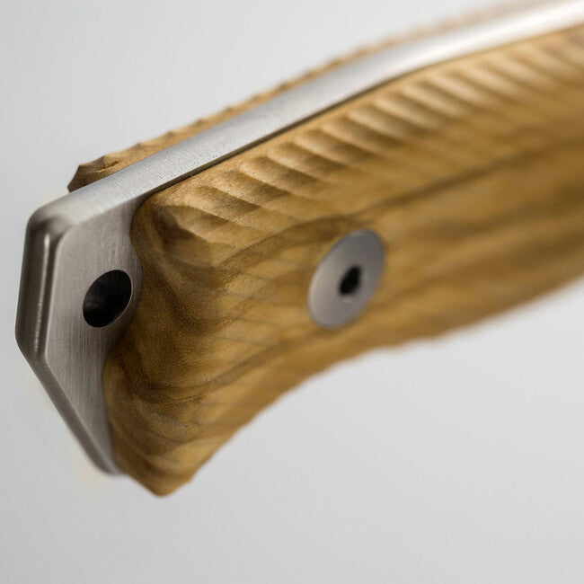 Lionsteel M5 UL pugnale medio lungo con manico in legno d'ulivo.
