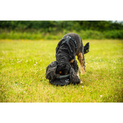 Mountain Paws imbracatura per animali XL