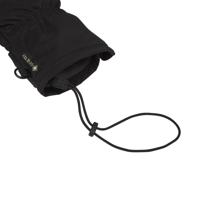 Black Diamond Mission guanti invernali da donna, blackberry