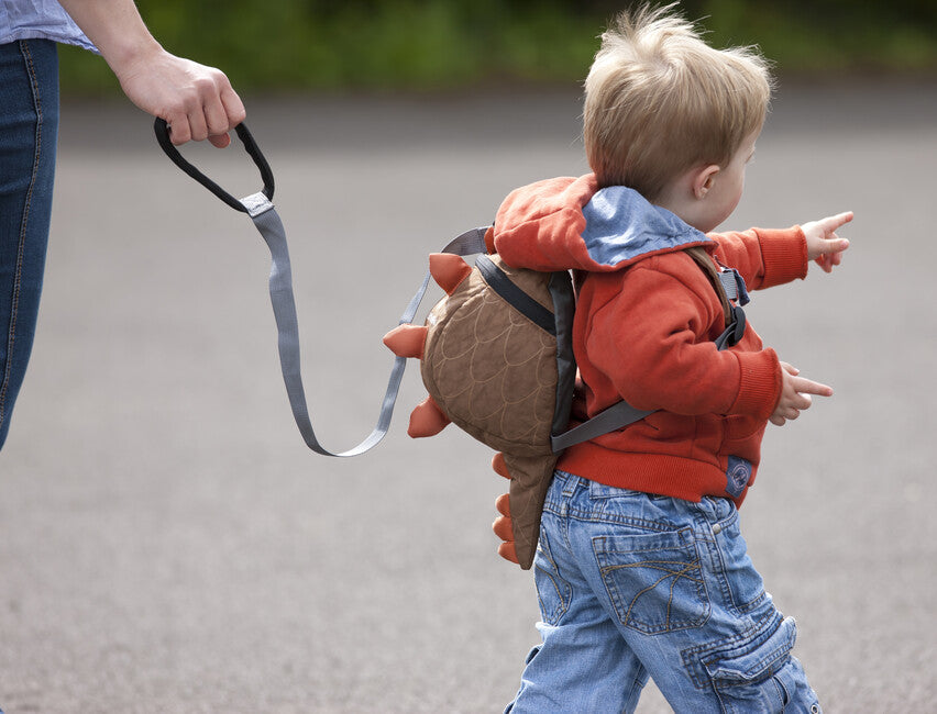 LittleLife dino zaino per bambini 2 l