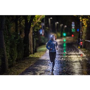 Ledlenser NEO5R lampada frontale a led, gray