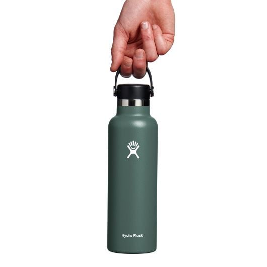 Hydro Flask Thermo bottle 21 OZ Standard Flex Cap 621 ml, abete