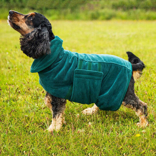 Mountain Paws Accappatoio per cani di taglia piccola, verde