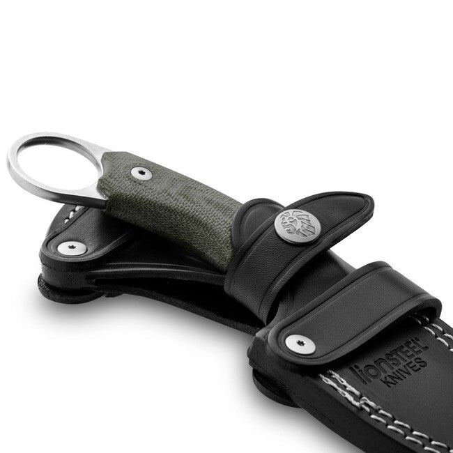 Lionsteel H2 CVG - 1, cvg