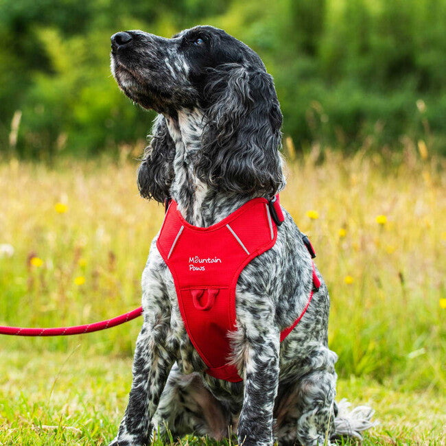Mountain Paws Padded Dog Harness Medium, Red