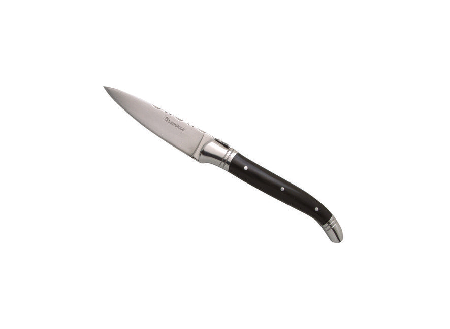 Laguiole DUB130 set di coltelli da cucina, manico in acciaio inox