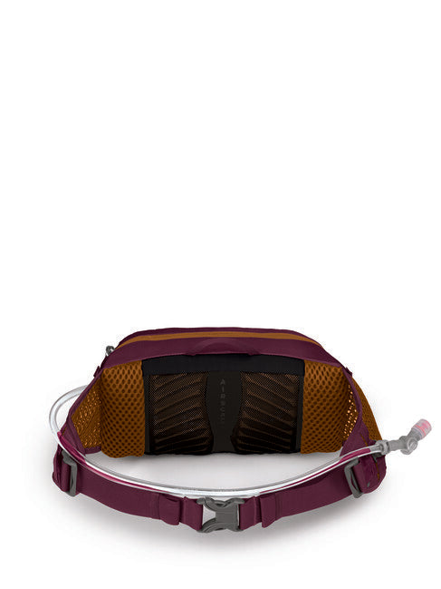 Osprey Seral 4, aprium viola