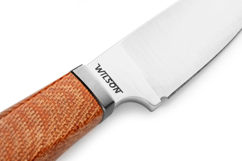 Lionsteel Willy WL1 CVN Coltello a lama fissa con manico in micarta, verde