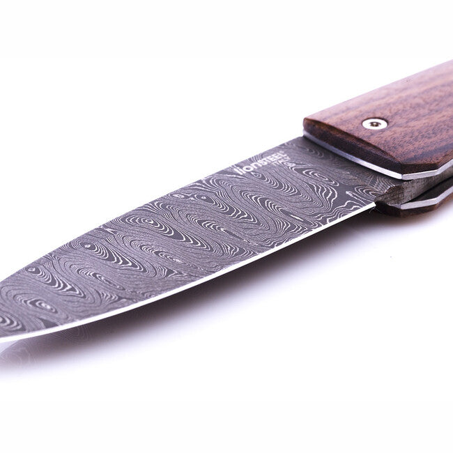 Lionsteel 8800D-CB coltello tascabile con lama in acciaio damascato, opera