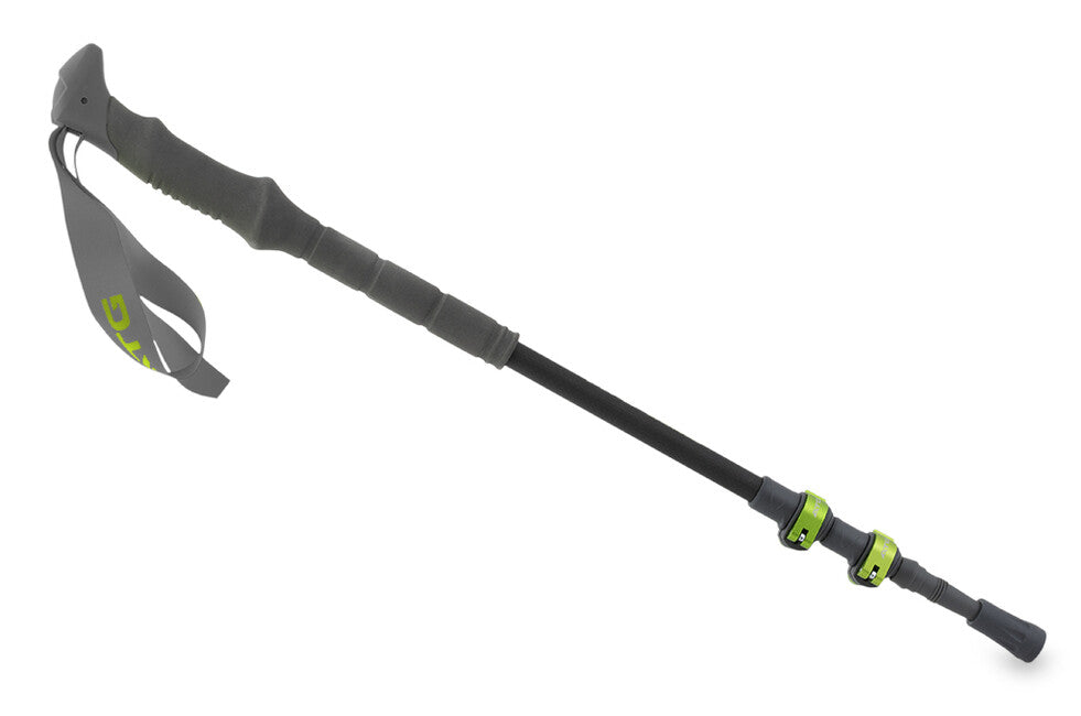 Pinguin Carbon FL foam bastoncini da trekking, carbonio/blu