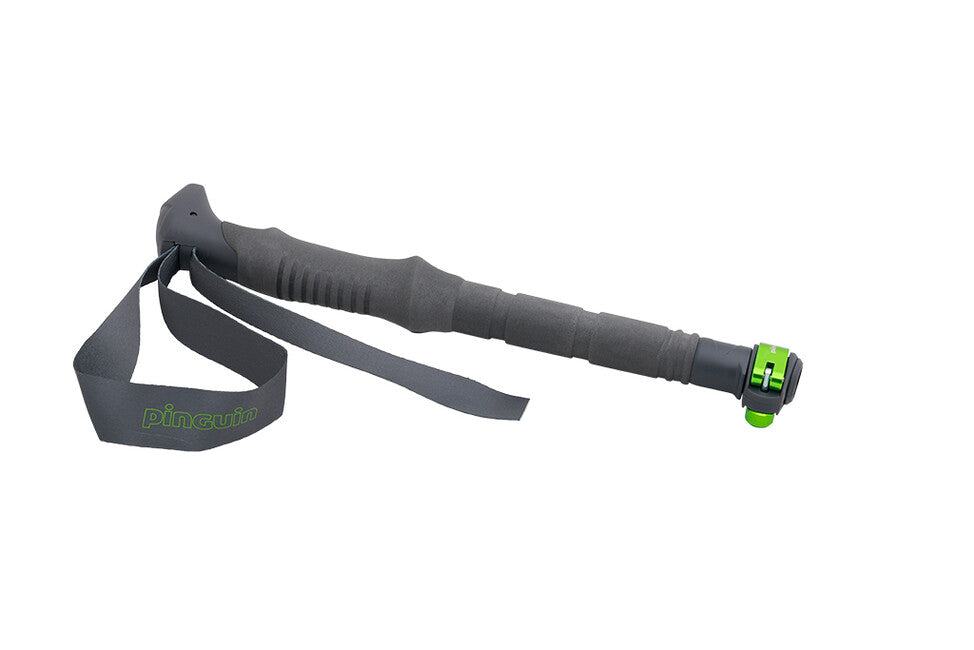 Pinguin Compact FL bastoni da trekking, grigio