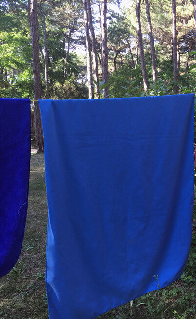 BasicNature Velluto asciugamano 85 x 150 cm, blu