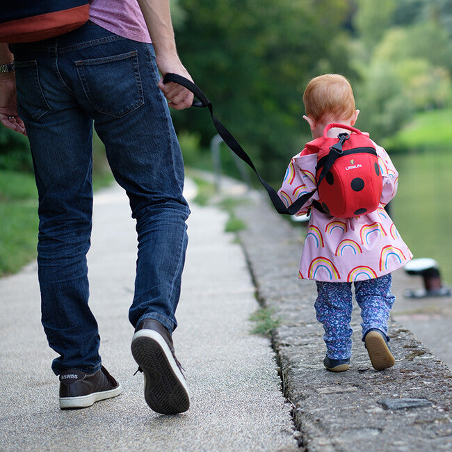 LittleLife Zaino per bambini con motivo a coccinella 2 l