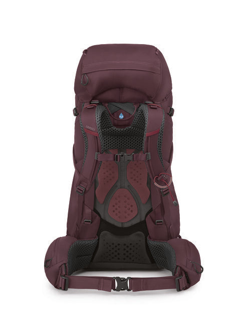 Osprey Kyte 58 zaino, elderberry purple