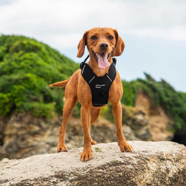 Mountain Paws Dog Harness Padded, Large, Black