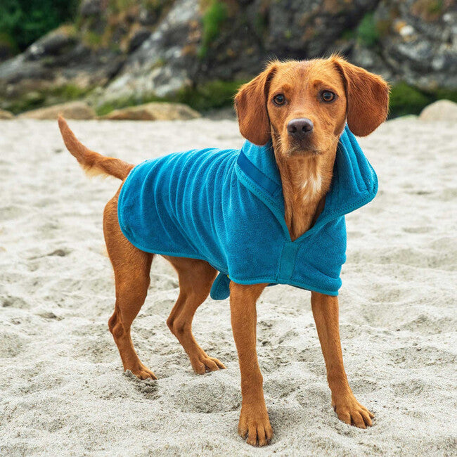 Mountain Paws Accappatoio per cani medio, blu