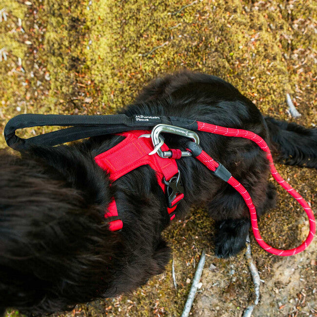 Mountain Paws Padded Dog Harness Medium, Red