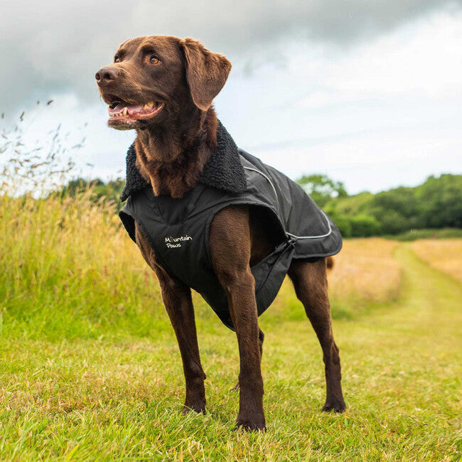 Mountain Paws Dog Raincoat Rain Cover, Large