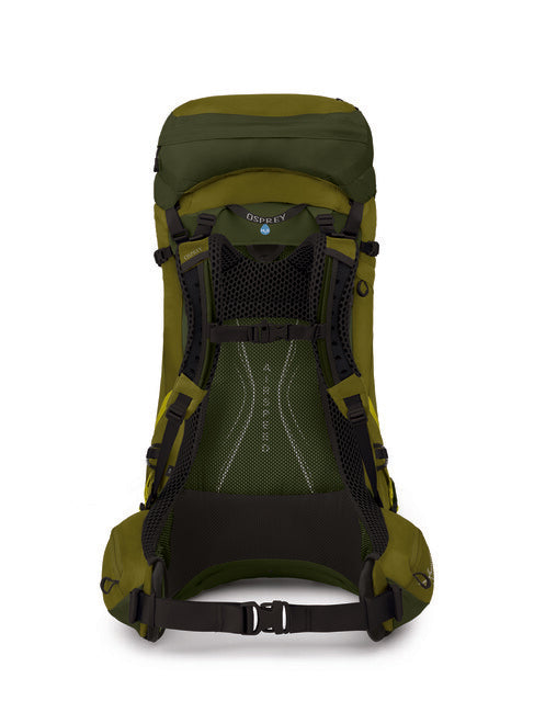 Osprey Atmos Ag Lt 50 zaino da trekking, scenic valley/green peppercorn