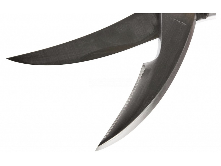 Victorinox Cesoie per pollame tutte in metallo