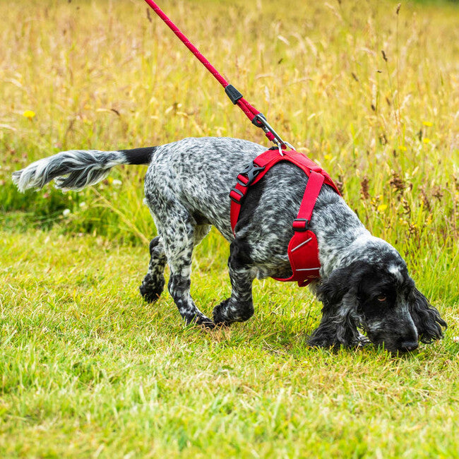 Mountain Paws Dog Harness Επένδυση Σαμάρι Σκύλου, Κόκκινο, Extra Large