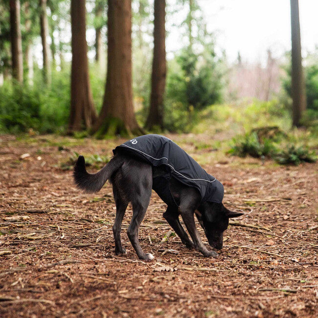 Mountain Paws Dog Raincoat Rain Cover, Small