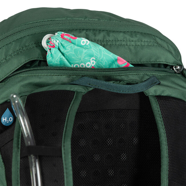 Osprey Scarab 30 Backpack, Tundra Green