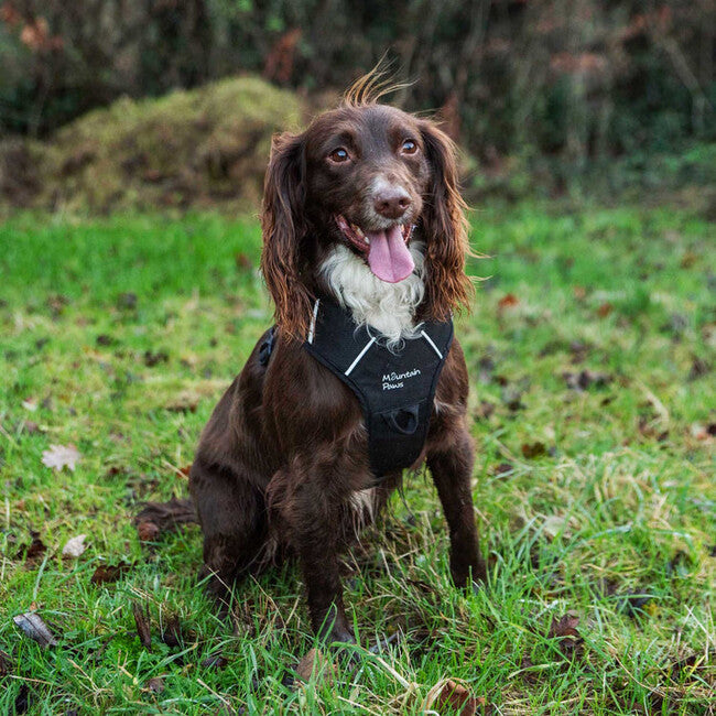 Mountain Paws Dog Harness Σαμαράκι με Επένδυση για Σκύλους, μαύρο, μικρό