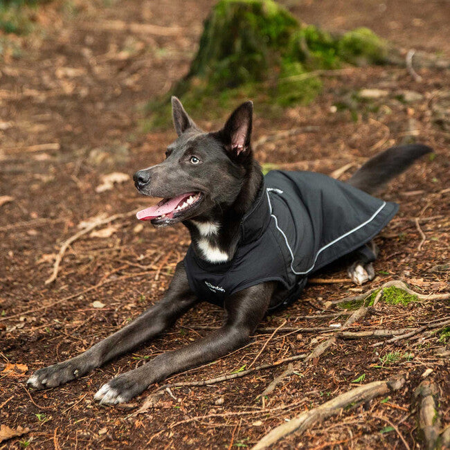 Mountain Paws Dog Raincoat Rain Cover, Large