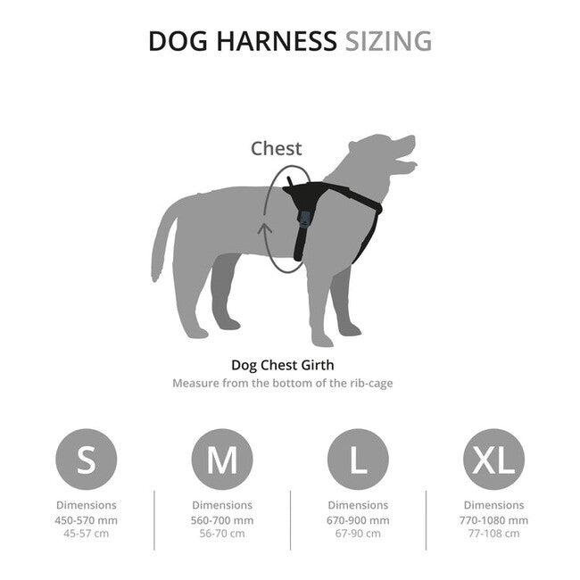 Mountain Paws Padded Dog Harness, Extra Large, Black