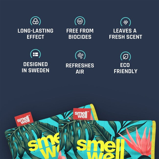 SmellWell Active XL deodorante multiuso, grigio argento