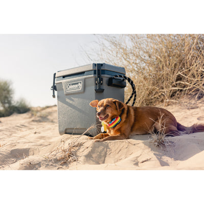 Coleman Convoy box di raffreddamento 28qt 29 L