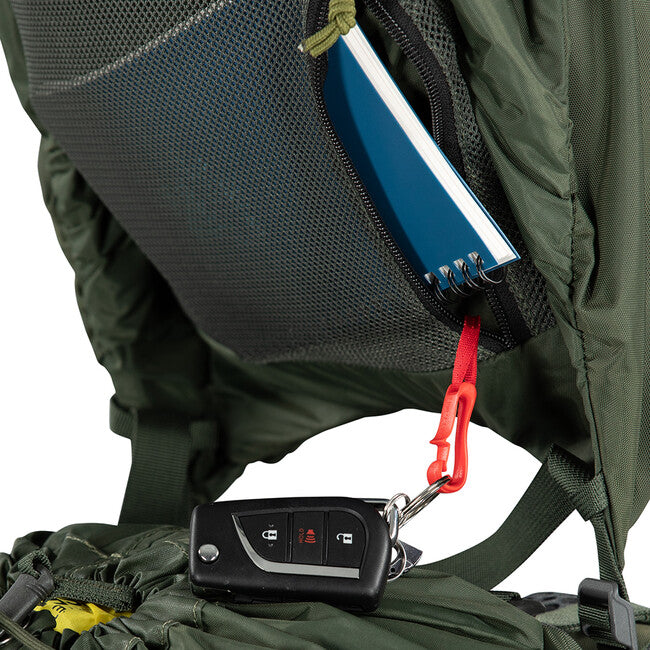 Osprey Kestrel 58 zaino, bonsai green