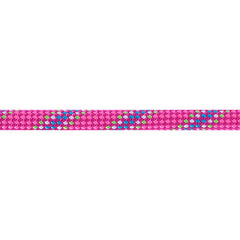 BEAL Tiger Unicore Dynamic Climbing Rope 10mm 70m, Fuchsia