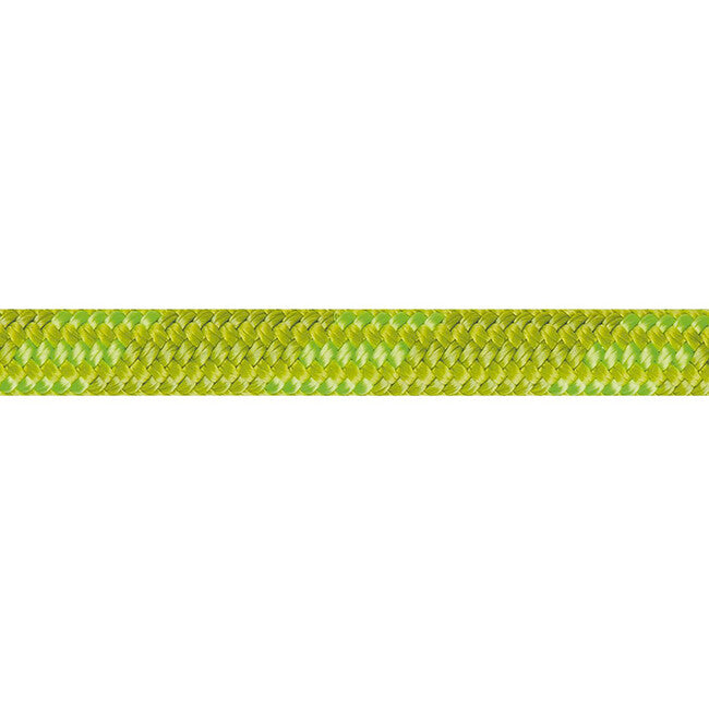 Beal Wall Cruiser Corda da arrampicata unicore 9,6 mm 30 m, verde
