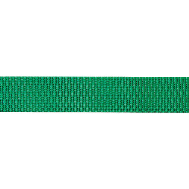 Beal Passante piatto 100 m, verde