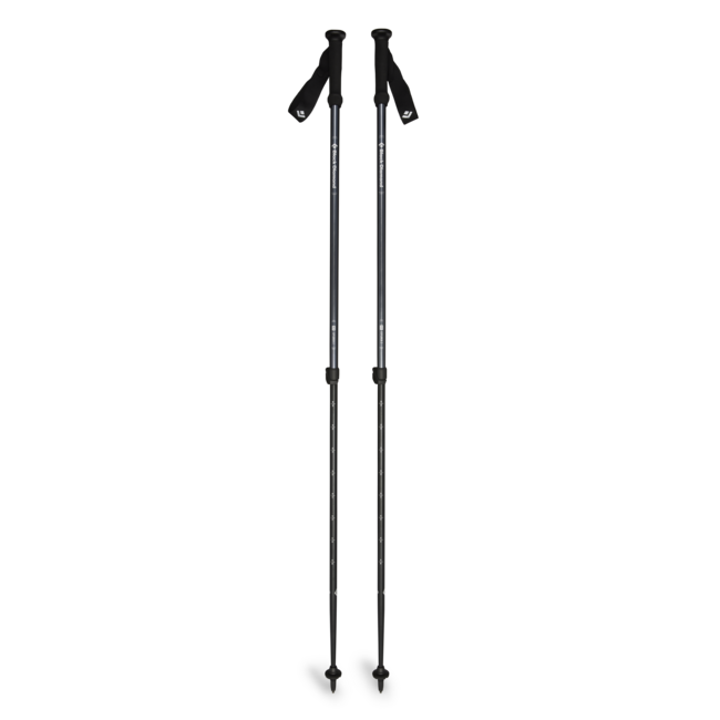 Black Diamond Explorer 2 bastoncini da trekking, blu inchiostro