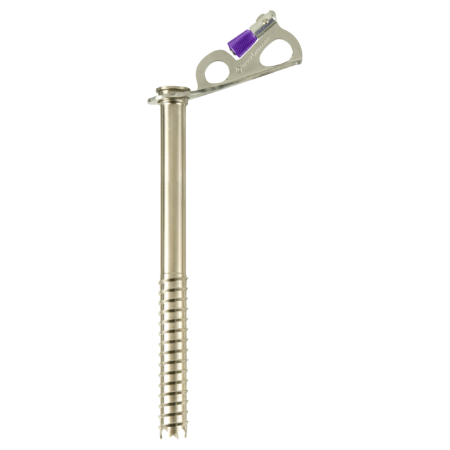 Black Diamond Express Ice Screw 22 cm