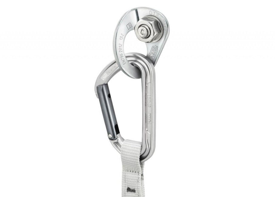 Petzl Coeur Bolt filetto in acciaio inox da 10 mm con occhiello, stainless
