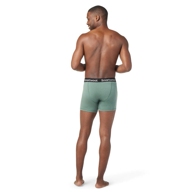 Smartwool Merino Boxer da uomo m boxer brief boxed, salvia