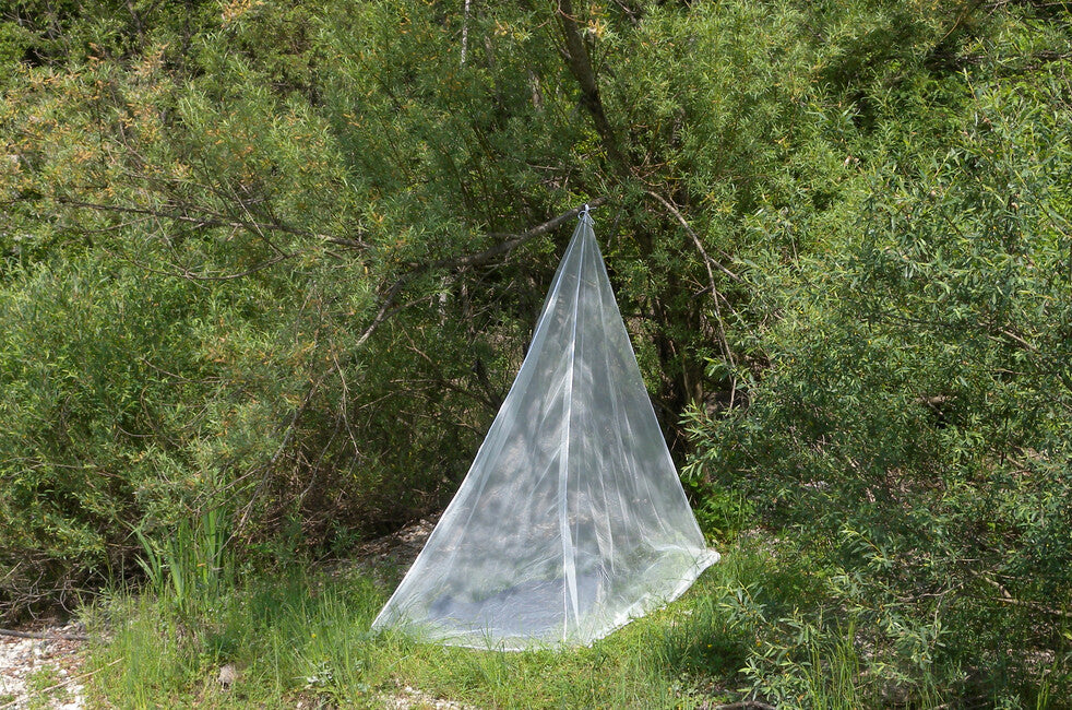 Brettschneider Pyramide tenda per insetti con impregnazione vegetale 1