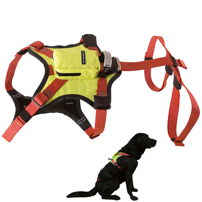 Camp Kronos pettorina integrale per cani da soccorso
