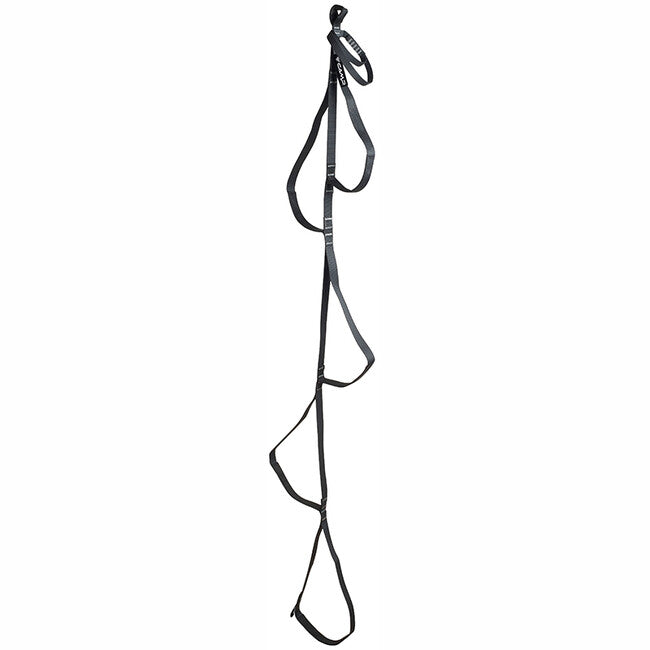 Camp Standard Ladder Aider 172 cm