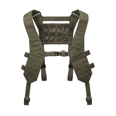 Bungee Cords and Universal Straps