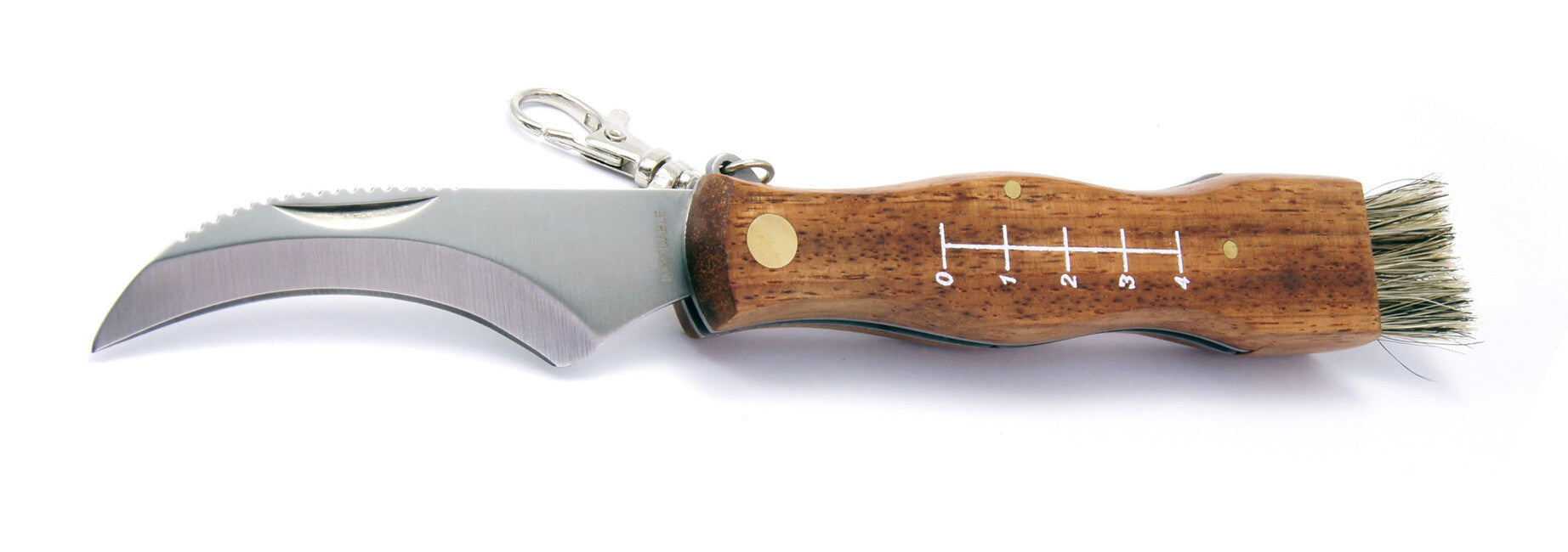 Filmam Coltello tascabile a fungo