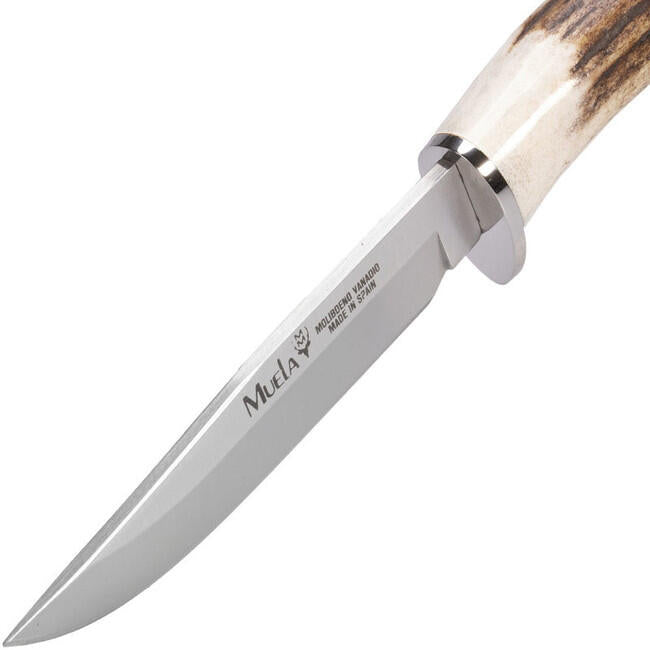 Muela Gred-12A coltello a lama fissa