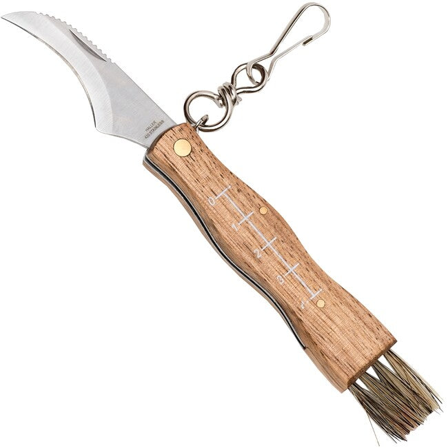 Haller Coltello di chiusura, coltello per funghi, 5,5 cm