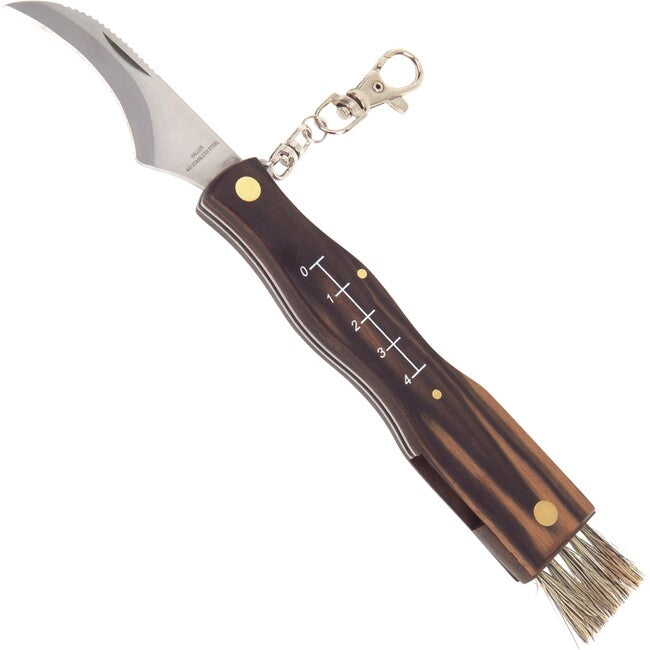 Haller Coltello di chiusura, coltello per funghi, 7 cm