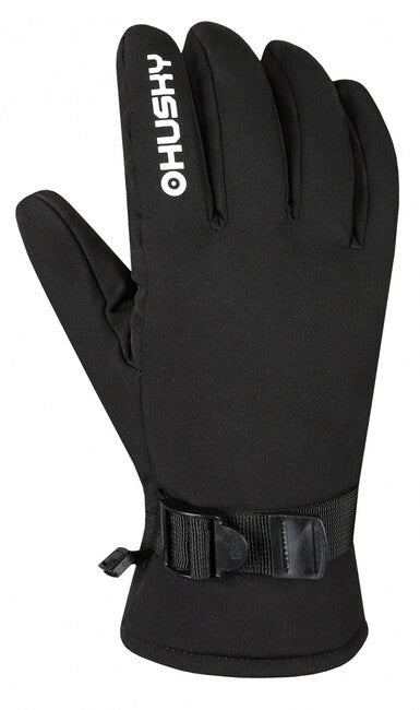 Ski Gloves